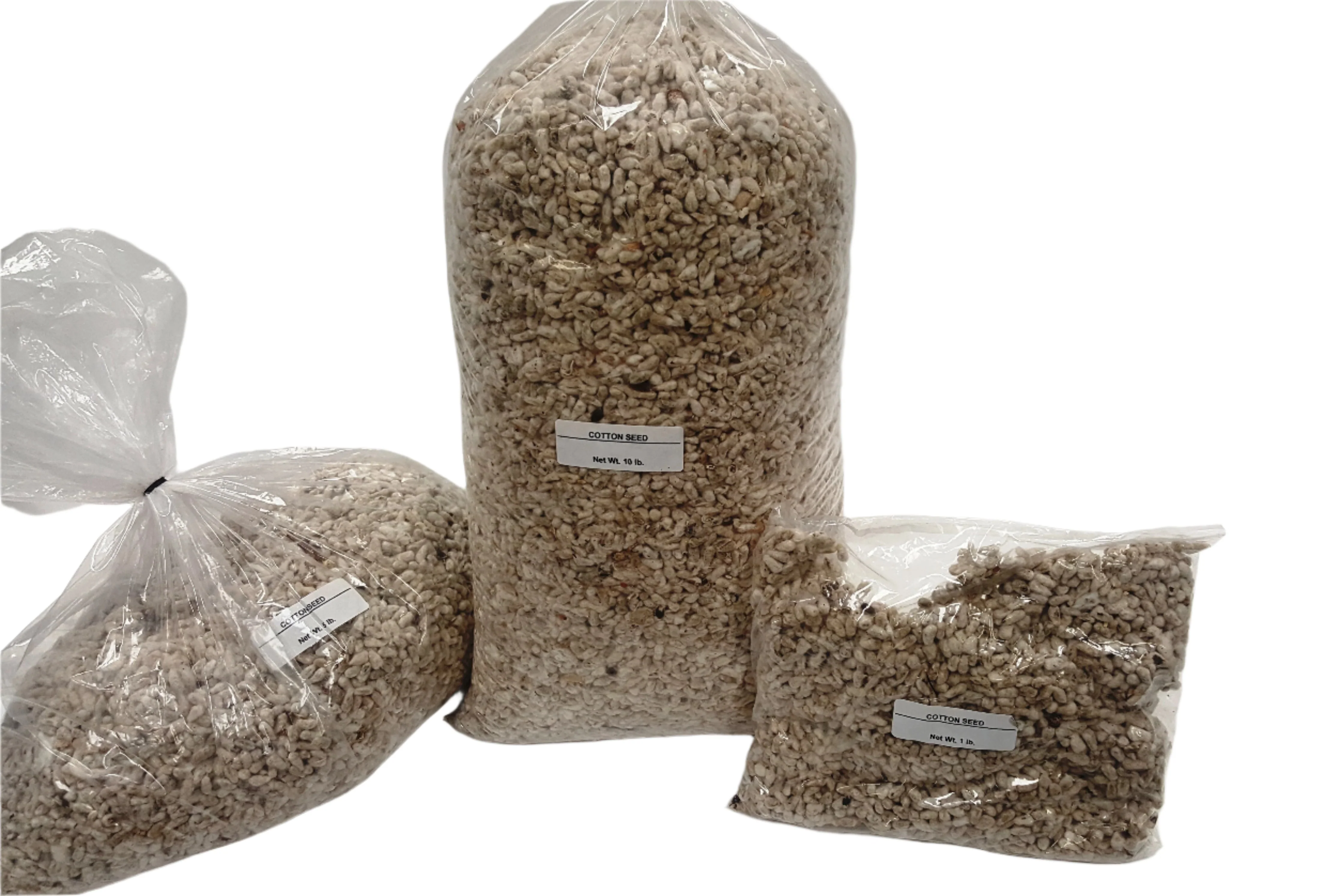 Cotton Seed